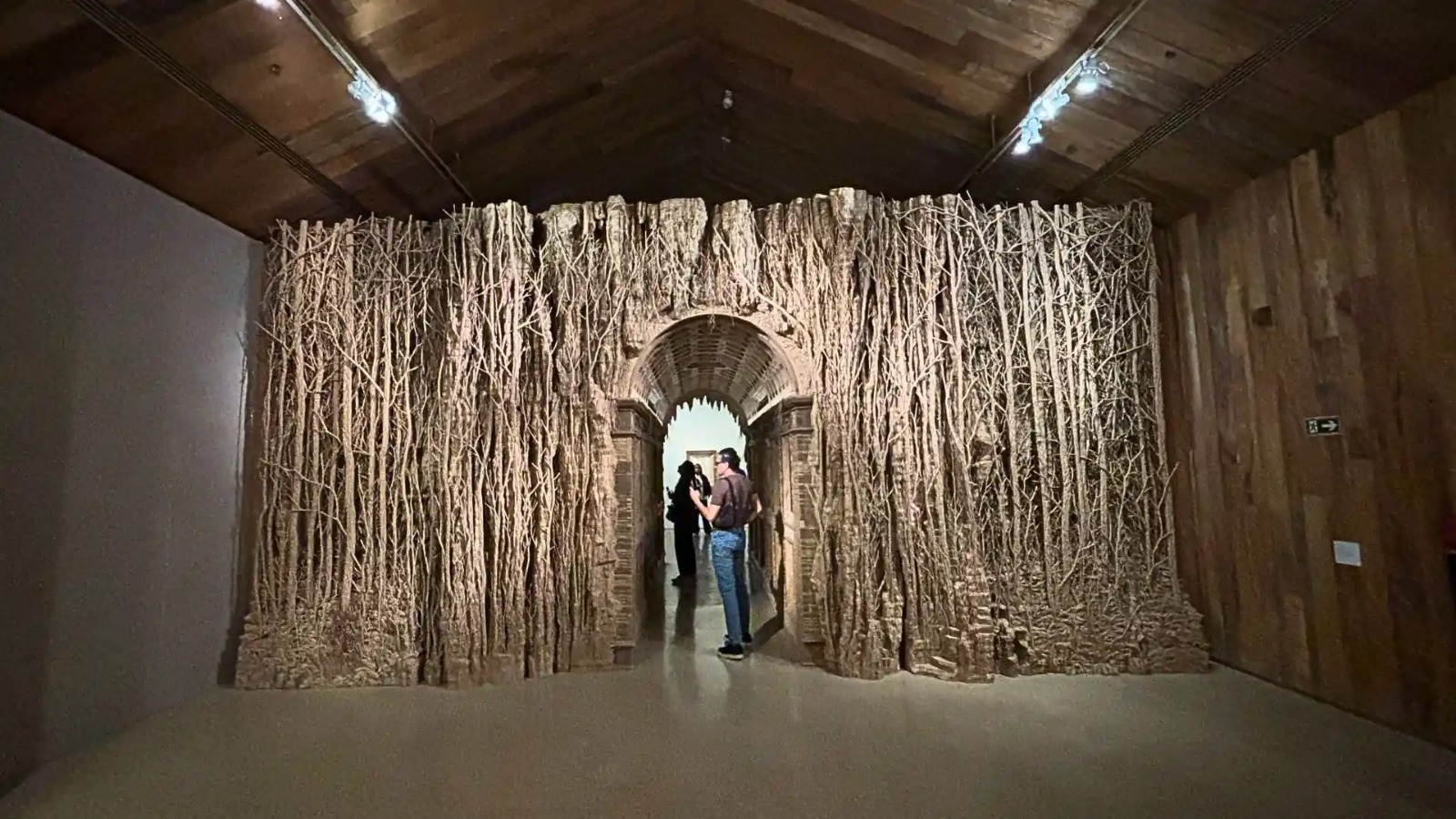 Selva em Re-Selvagem