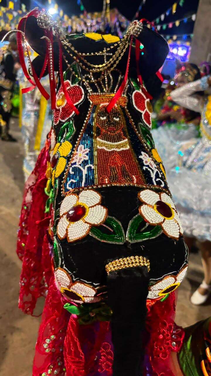 Quadrilha Rosas Juninas - Bonitoso